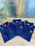 May Áo Polo Đồng Phục Công Ty Intertrans